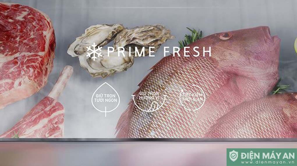 Tủ lạnh Panasonic Inverter 255 lít NR-BV281BVKV